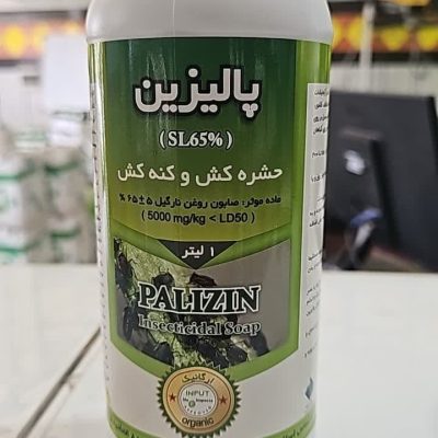 پالیزین